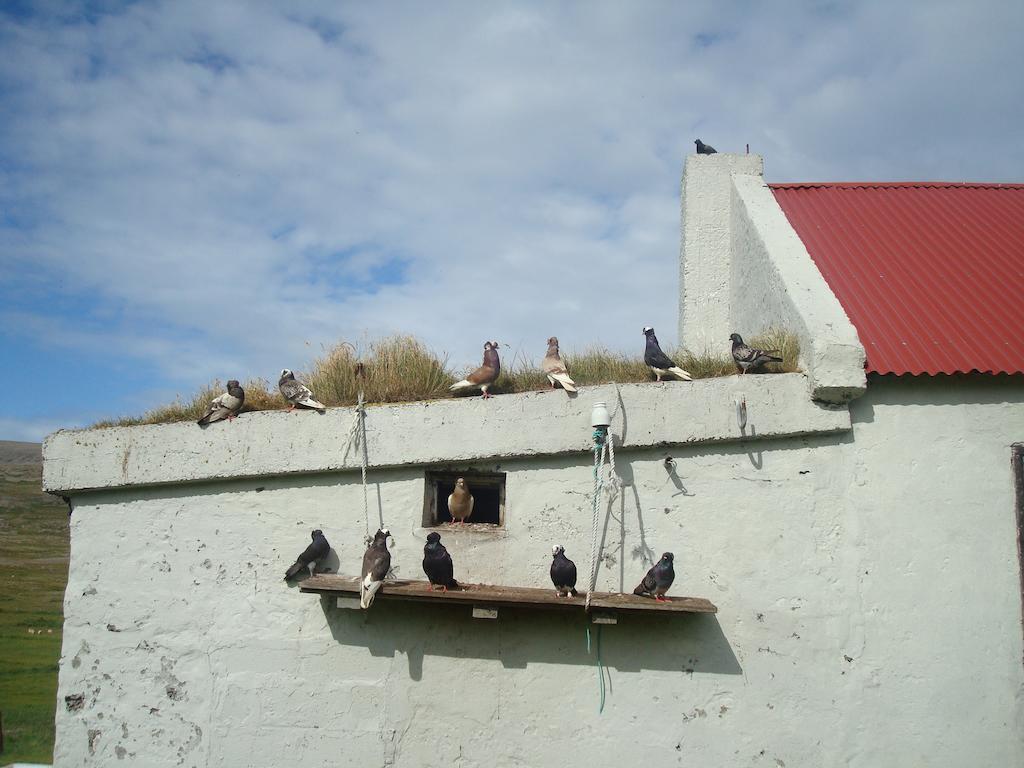 Haenuvik Cottages Hnjotur Exterior photo